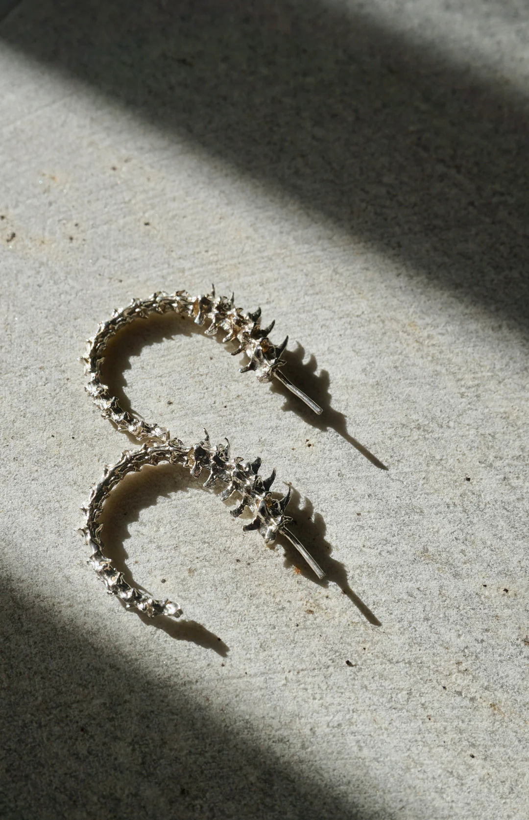 Rattlesnake Vertebrae small