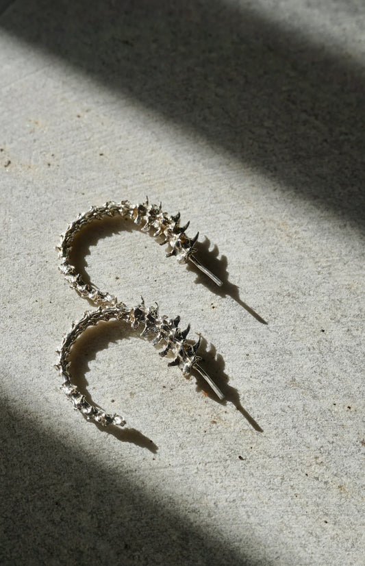 Rattlesnake Vertebrae small