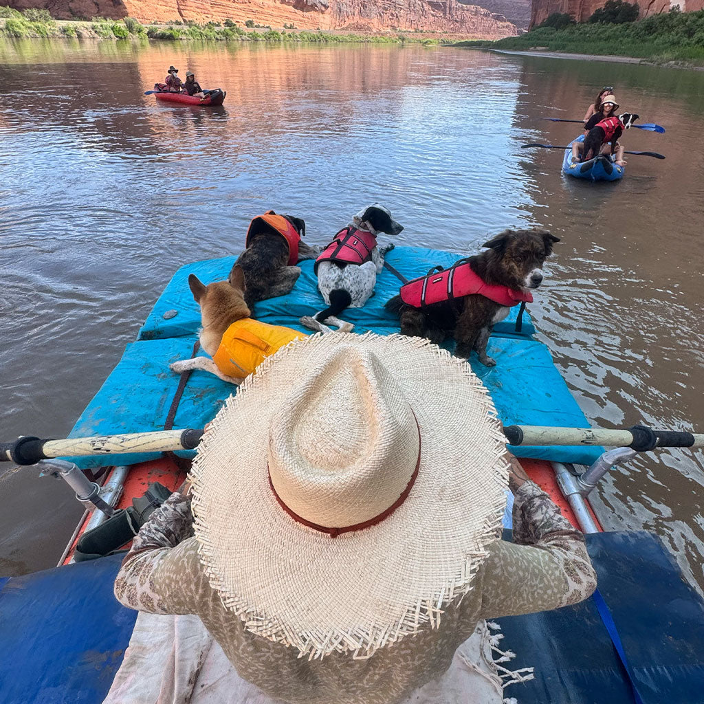 Person wearing a straw hat with dogs in life vests on a blue raft in a river with other rafts in the background.